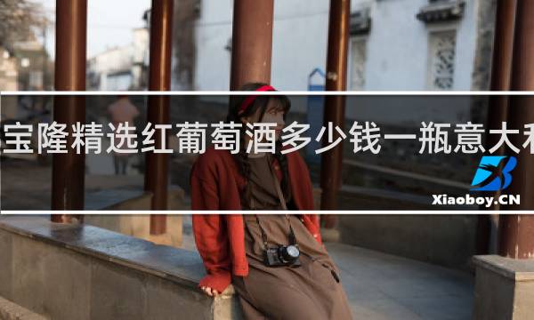 万多宝隆精选红葡萄酒多少钱一瓶意大利原瓶进口