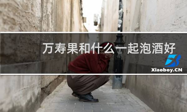 万寿果和什么一起泡酒好