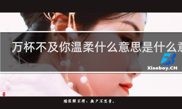 万杯不及你温柔什么意思是什么意思