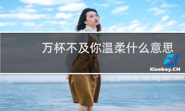 万杯不及你温柔什么意思