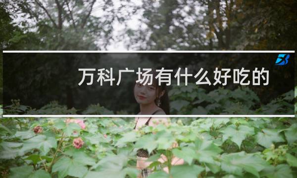 万科广场有什么好吃的