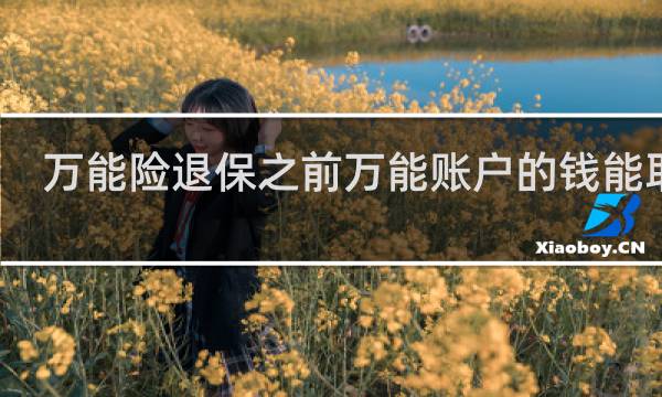 万能险退保之前万能账户的钱能取吗