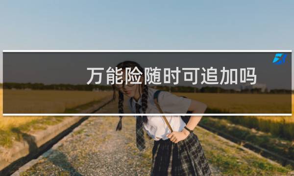 万能险随时可追加吗