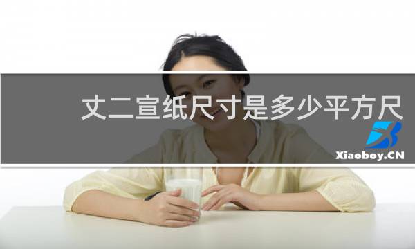 丈二宣纸尺寸是多少平方尺