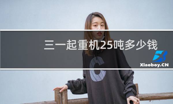 三一起重机25吨多少钱