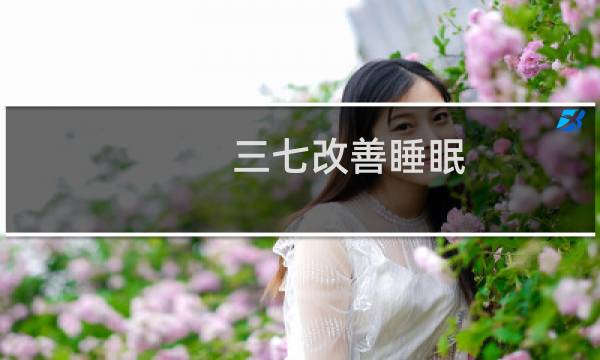 三七改善睡眠