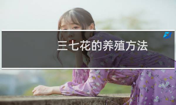 三七花的养殖方法