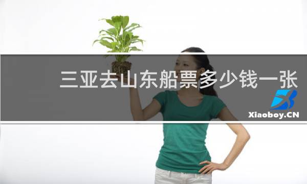 三亚去山东船票多少钱一张