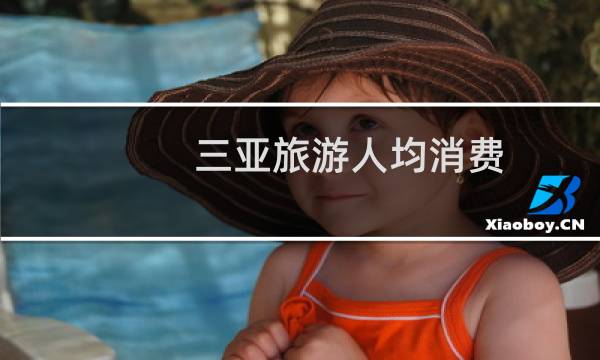 三亚旅游人均消费