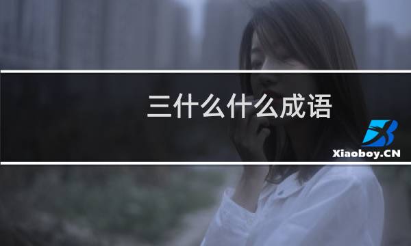 三什么什么成语