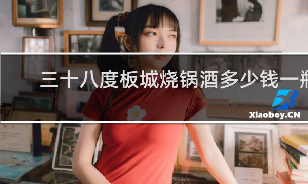 三十八度板城烧锅酒多少钱一瓶