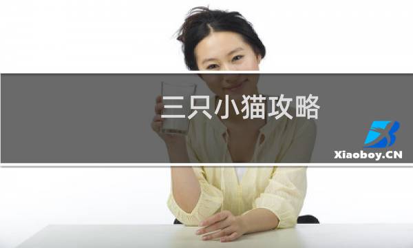 三只小猫攻略