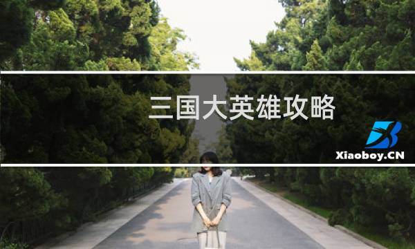 三国大英雄攻略