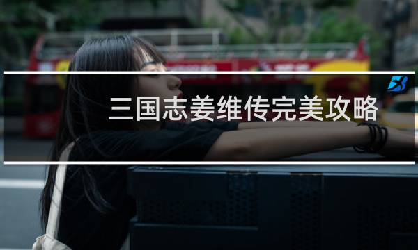 三国志姜维传完美攻略