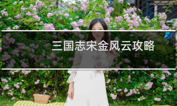 三国志宋金风云攻略
