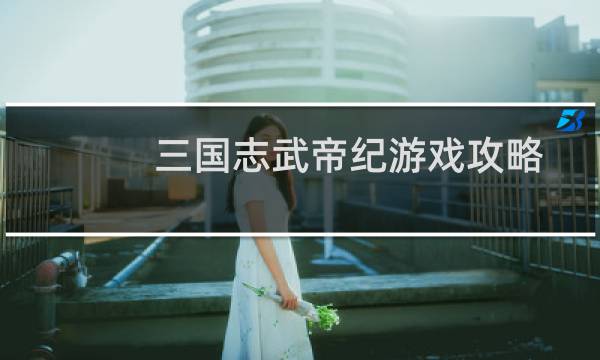 三国志武帝纪游戏攻略
