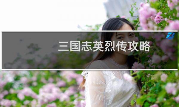 三国志英烈传攻略