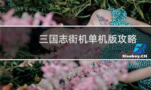 三国志街机单机版攻略