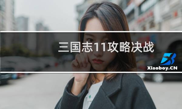 三国志11攻略决战