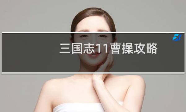 三国志11曹操攻略