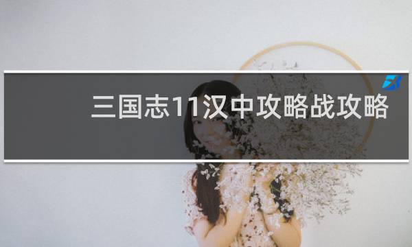 三国志11汉中攻略战攻略