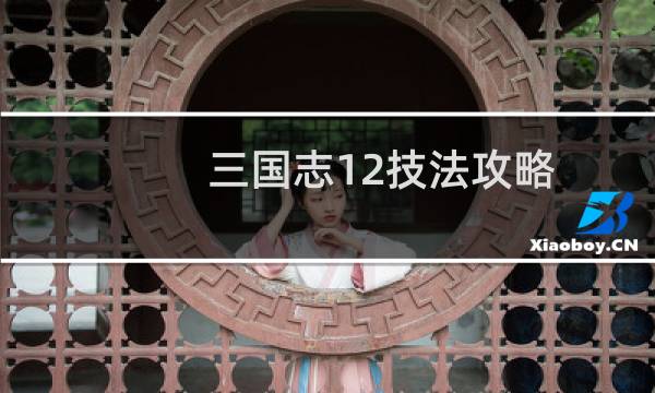 三国志12技法攻略