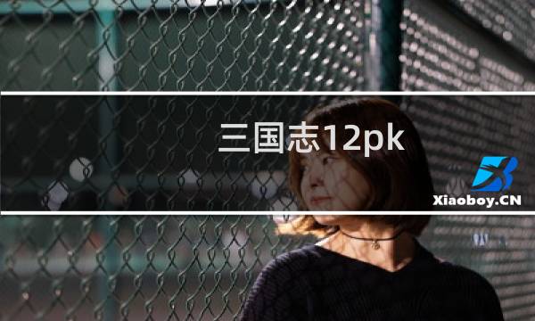 三国志12pk 攻略