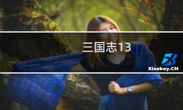 三国志13 英杰传攻略