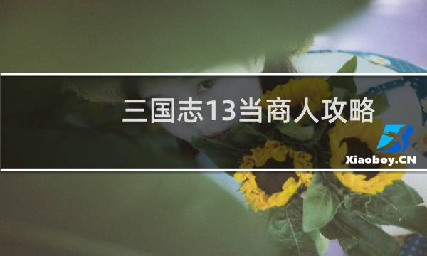 三国志13当商人攻略