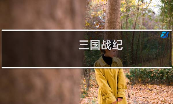 三国战纪-风云再起攻略