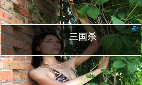 三国杀 桌游攻略