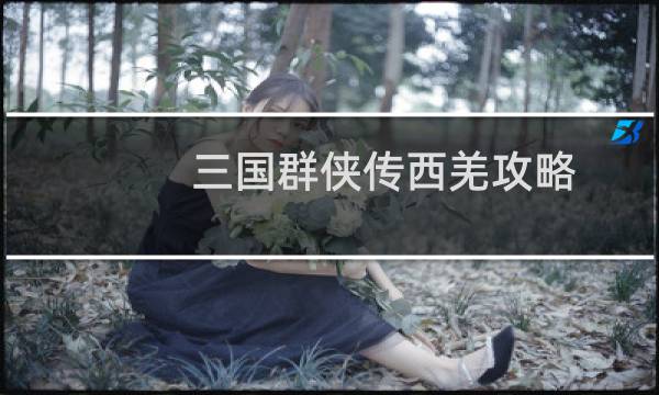 三国群侠传西羌攻略