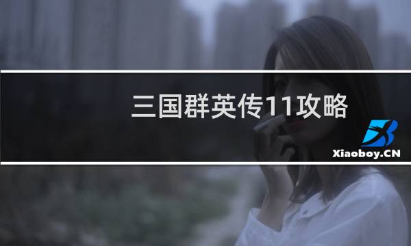 三国群英传11攻略