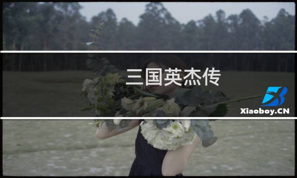 三国英杰传 详细攻略