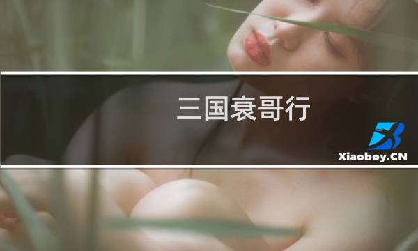 三国衰哥行 攻略