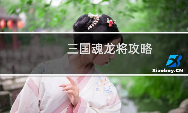 三国魂龙将攻略