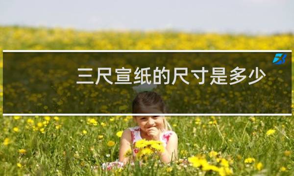 三尺宣纸的尺寸是多少