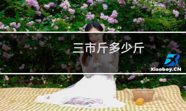 三市斤多少斤