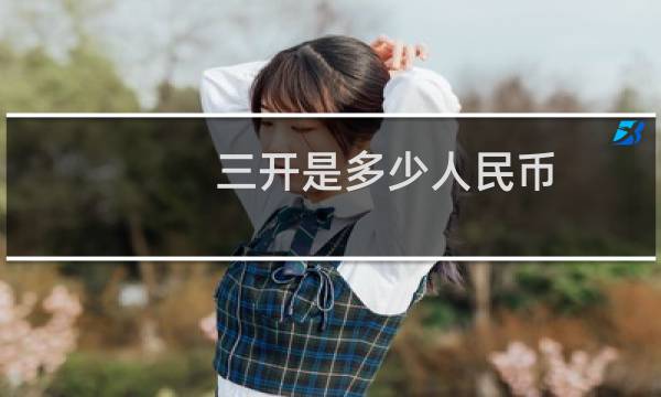 三开是多少人民币
