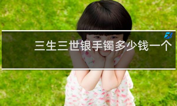 三生三世银手镯多少钱一个