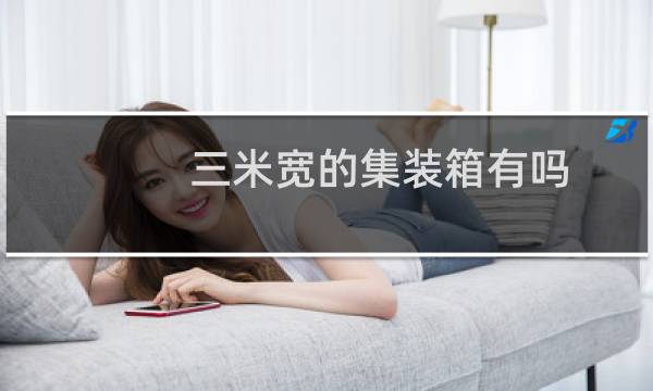 三米宽的集装箱有吗