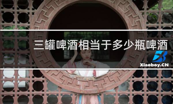 三罐啤酒相当于多少瓶啤酒