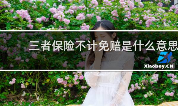 三者保险不计免赔是什么意思