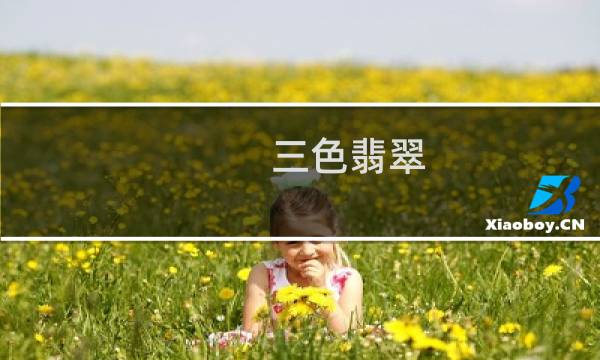 三色翡翠 价格