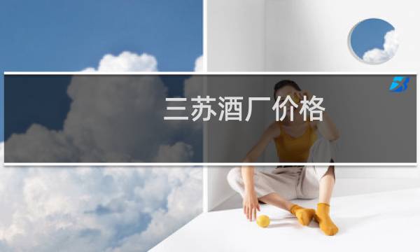 三苏酒厂价格
