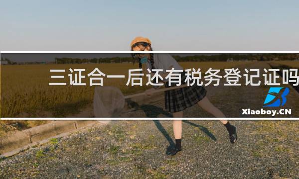 三证合一后还有税务登记证吗