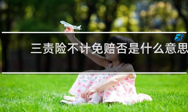 三责险不计免赔否是什么意思