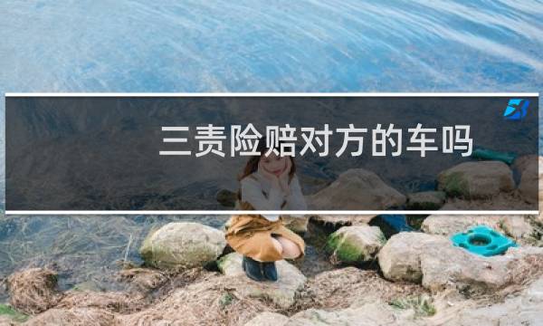 三责险赔对方的车吗