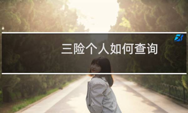 三险个人如何查询