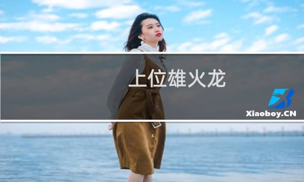 上位雄火龙 攻略